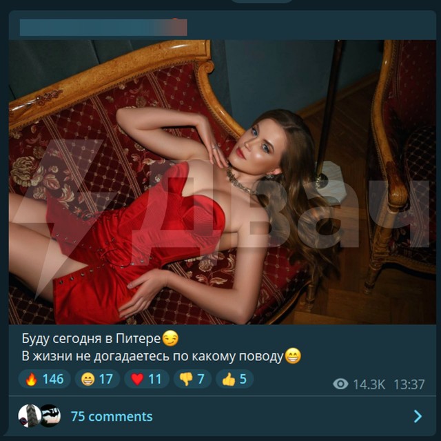 По полям ПМЭФ табунами ходят эскортницы