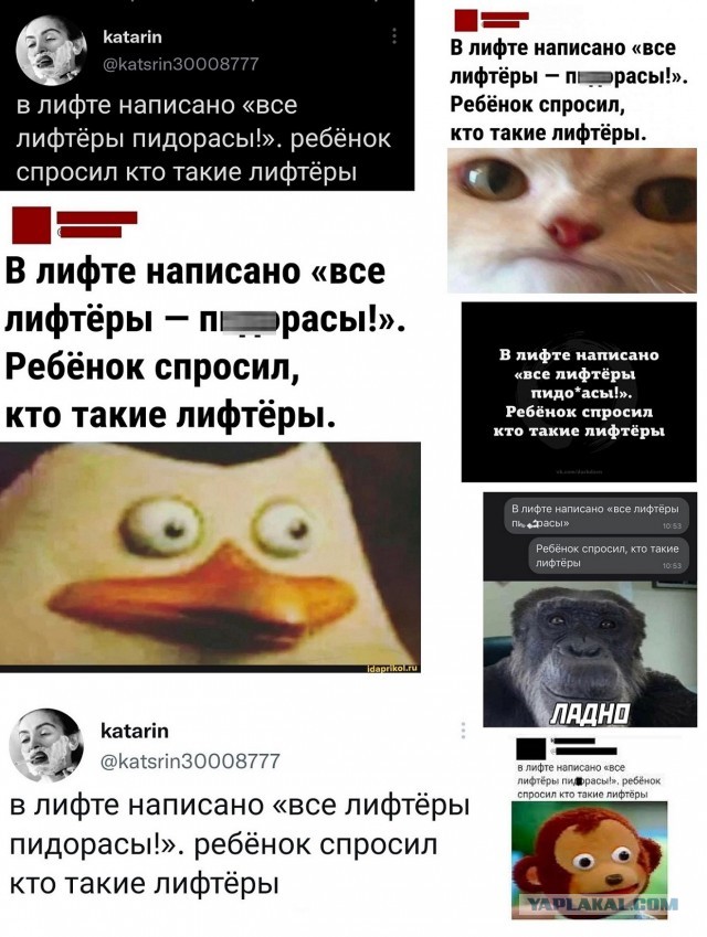 Так себе картинки 25.10.22