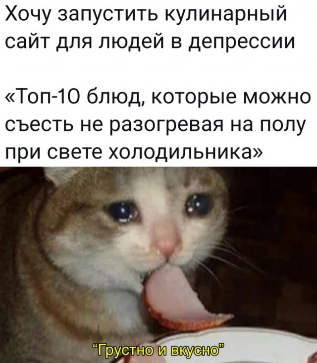 Весёлый полтишок 24.11.22