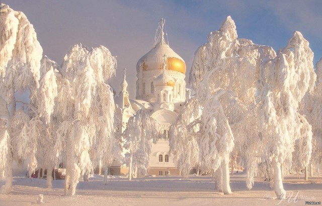 Прикольные и просто красивые картинки 23.12.2022