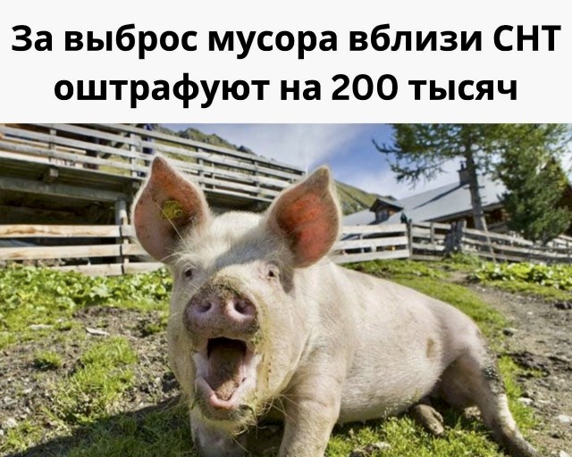 Победная поступь идиотизма по планете – том 5
