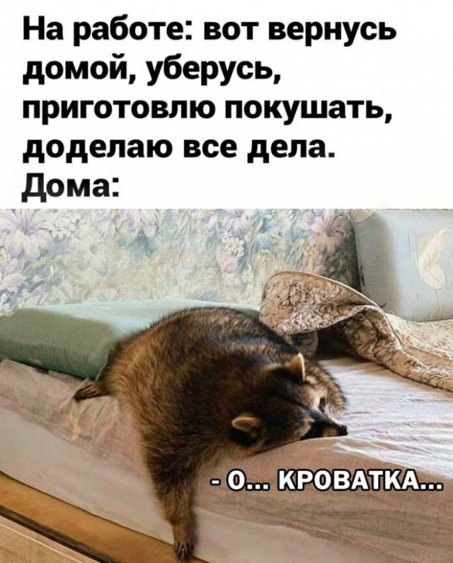 Картинки и мемы, всяко разно - 181