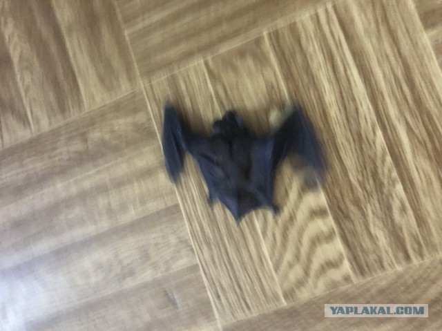 Как бухать с бабой