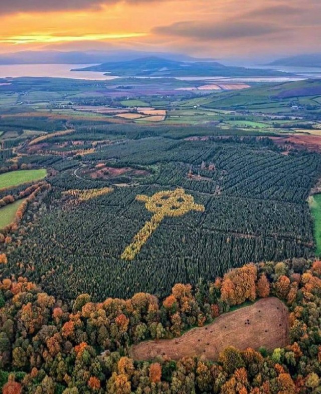 Каждую осень в лесах графства Донегол, Ирландия, появляется огромный золотой крест