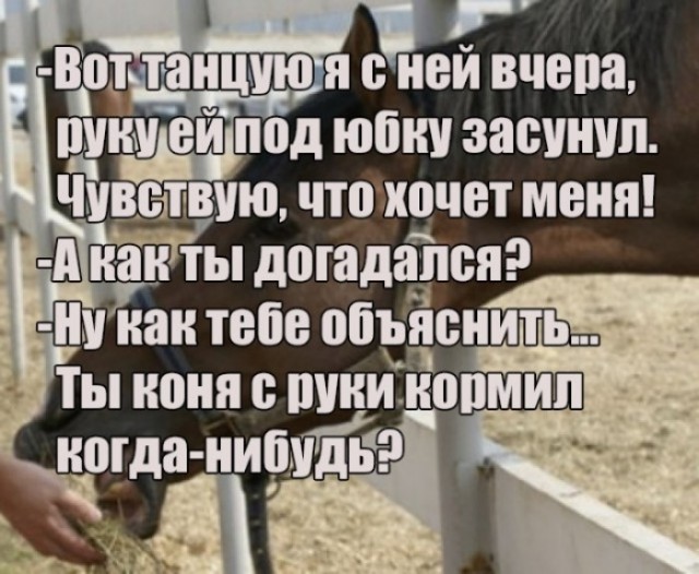 Нате вам ещё ископаемых боянов ЯПа