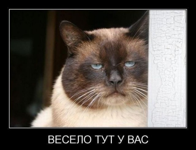 На свадьбе