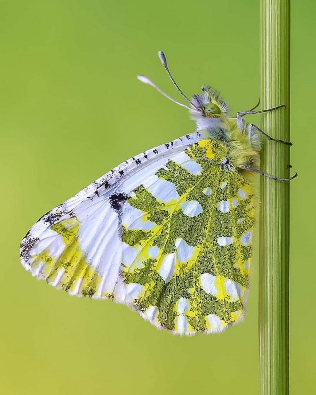 Подборка интересных и веселых картинок 13.02.24