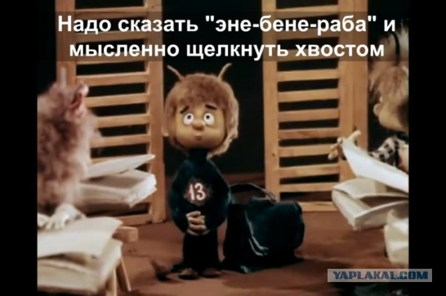 В офисе большая беда...