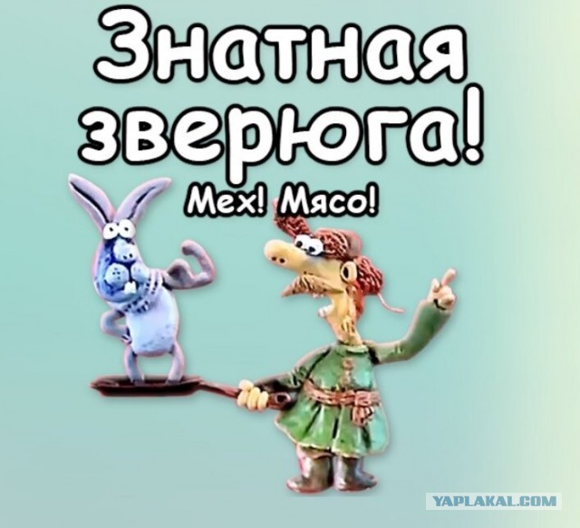 Утконос