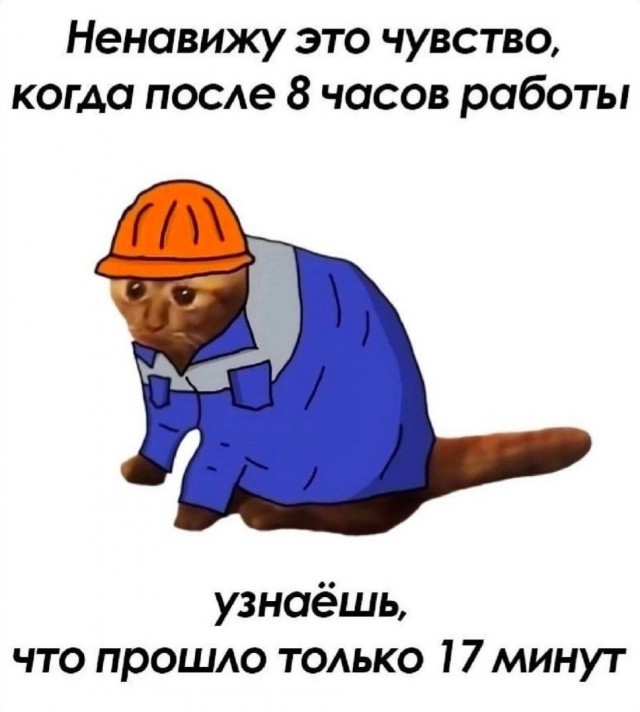 Весёлый полтишок 29.10.24