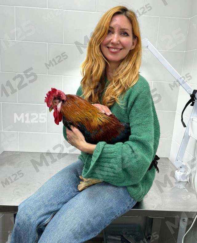 Петуха бомжа нашли в районе Сокол. (Москва)