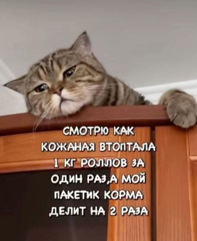 Маленькая пятница 21.05.25