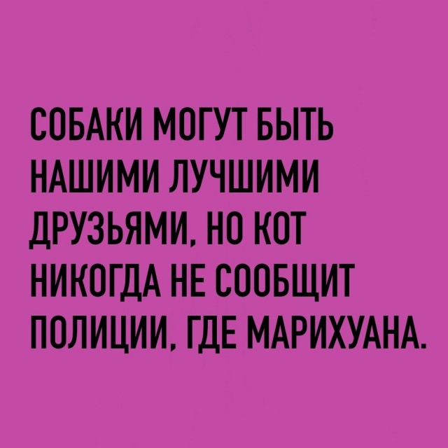 Так себе картинки 17.06.25