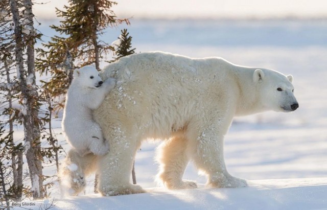 Заряд позитива: взгляните на 25 самых забавных снимков