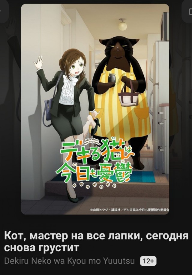 Кот