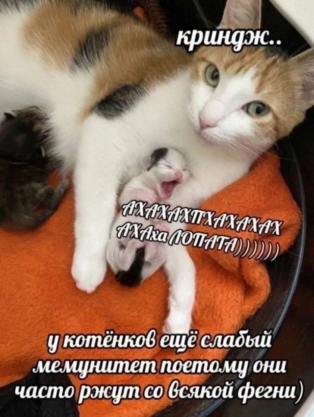 Просто для хорошего вечера