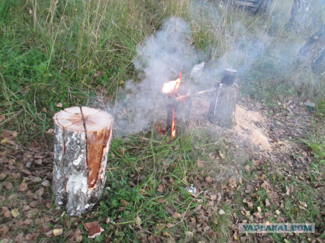 Шведская (финская, таежная) свечка
