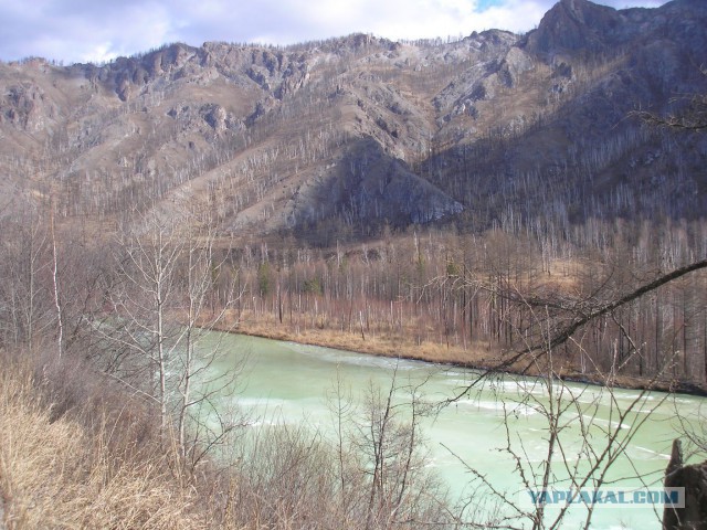 Суровая жизнь в поселке "Коммунар"