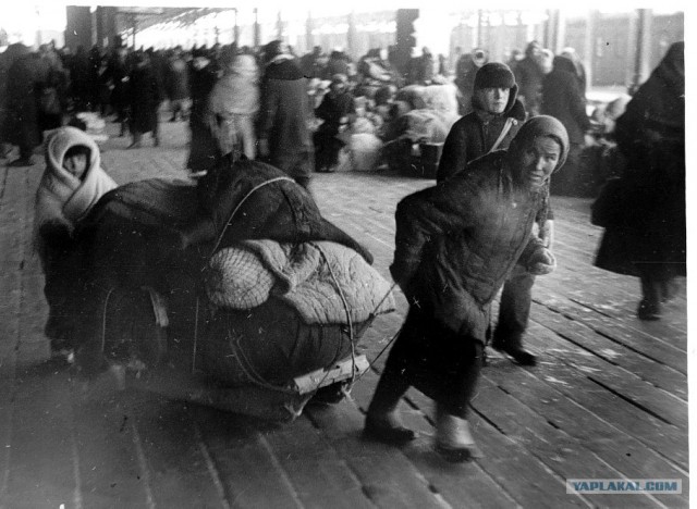 Блокадный Ленинград 1943 год