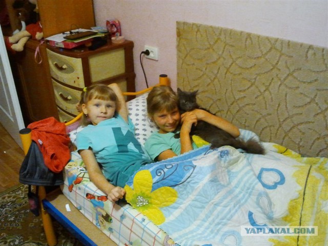 Котовторник 23.09.2014.