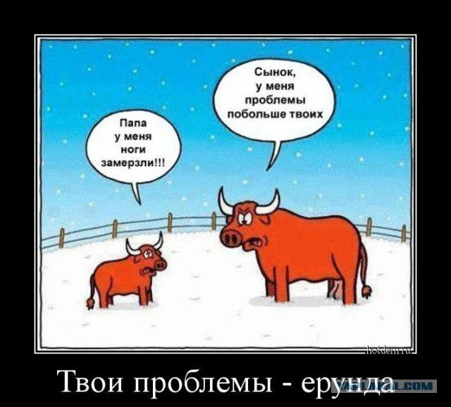 Смешные и не очень картинки из ВК