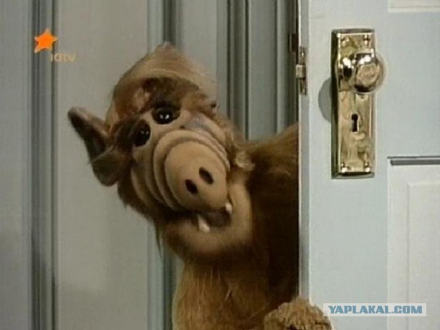 20 СМС с двойным смыслом