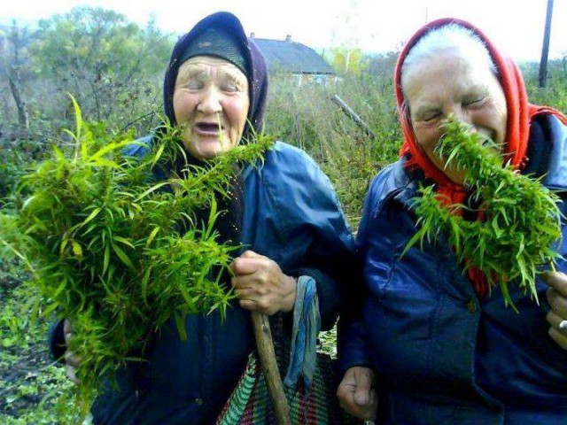 Повеселее и подешевле