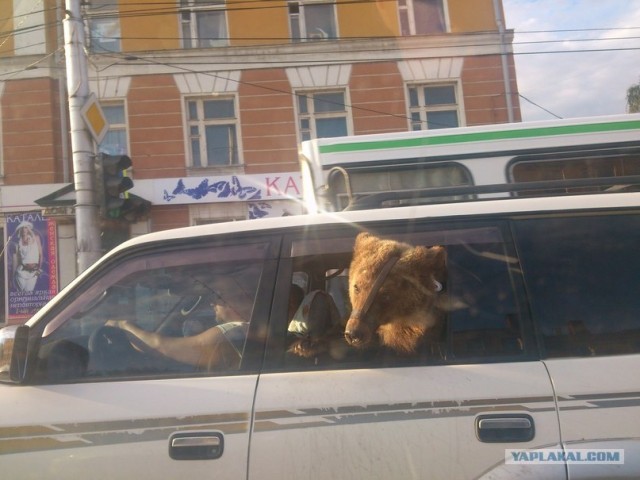 Странный такой городишка