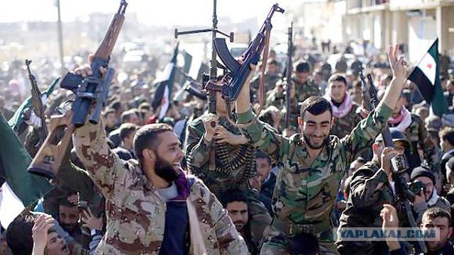 Нокаутирующим в печень НАТО