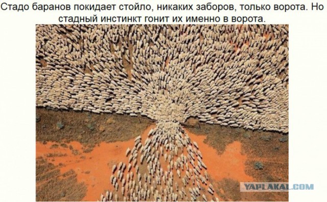 Россия согласилась реструктурировать долг Украины