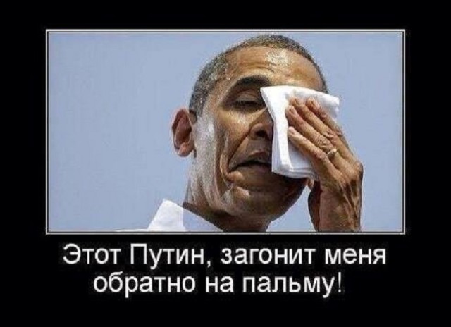 10 политических картинок часть 20