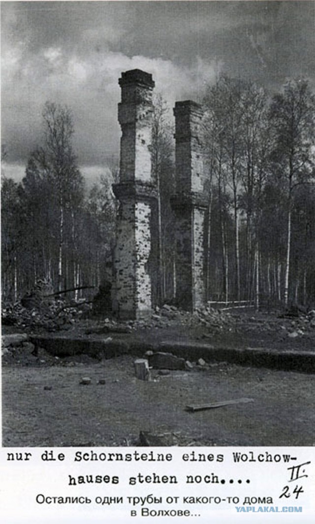 Фото с мест Волховской битвы (Вермахт)