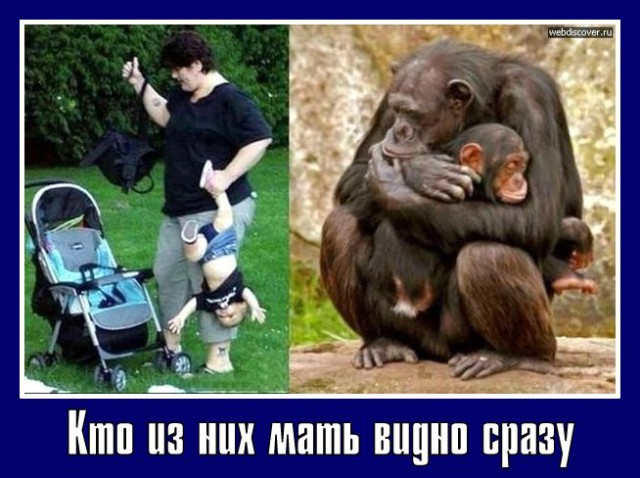 Из серии "Яжемать" и "Родишьпоймешь"