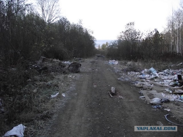 Еду искать Дальневосточный гектар.