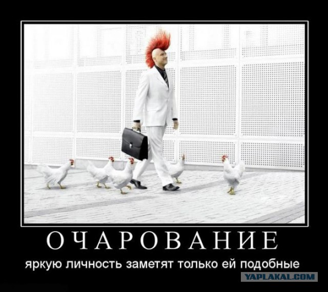 Забавные комментарии, шутки и фразы из этих ваших интернетов