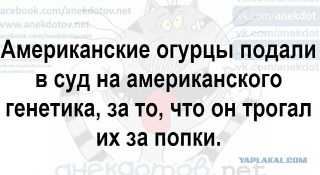 Чего только нет в этом интернете
