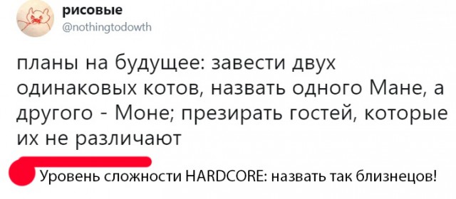 Немного картинок из соцсетей к пятнице