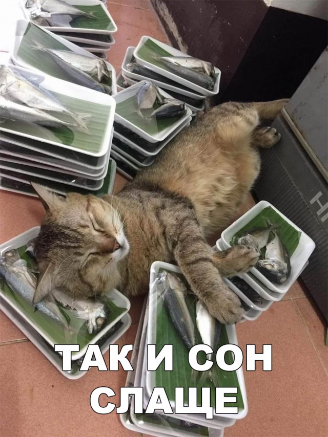 Немного милоты