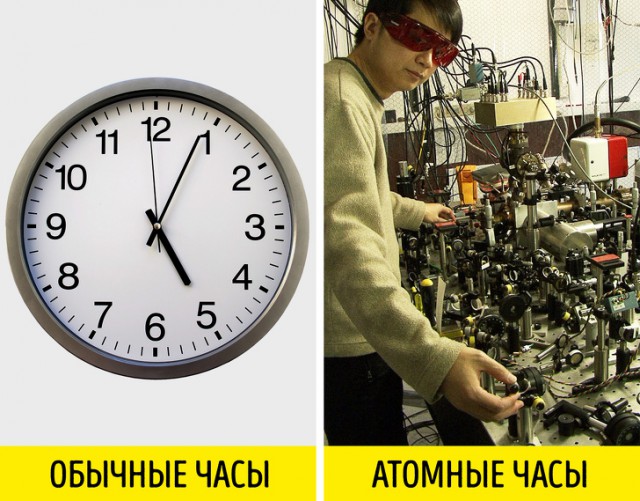Факты, о которых вы могли не знать