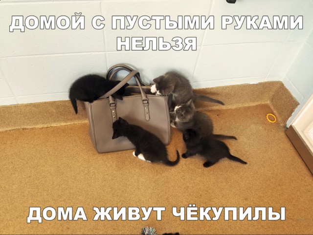Нестандартный юмор