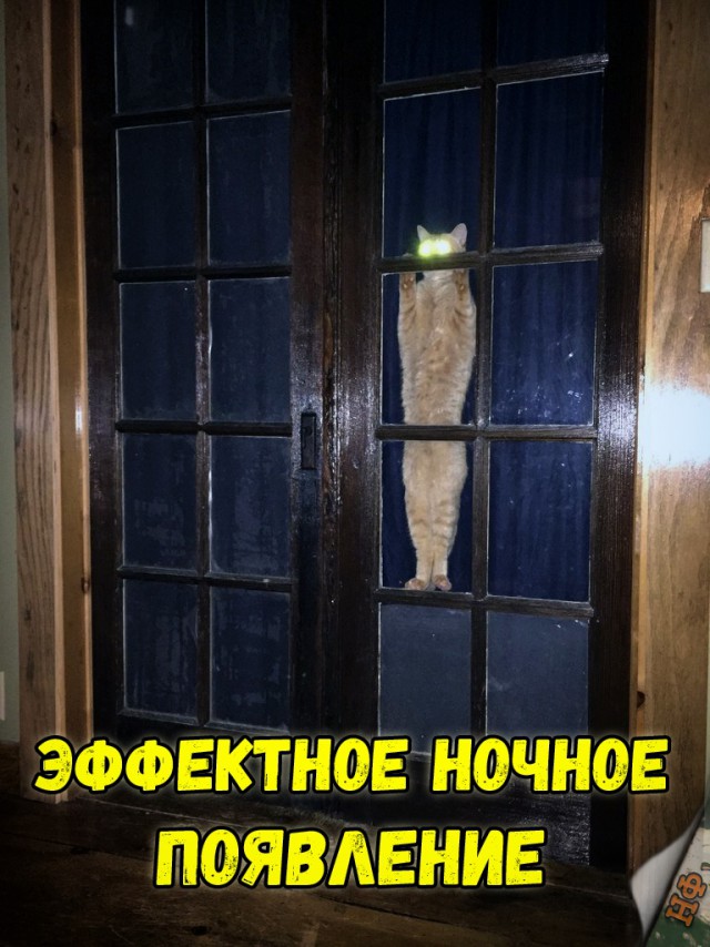 Прикольные картинки абавсём