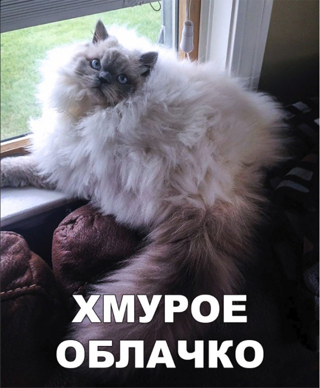 Нестандартный юмор