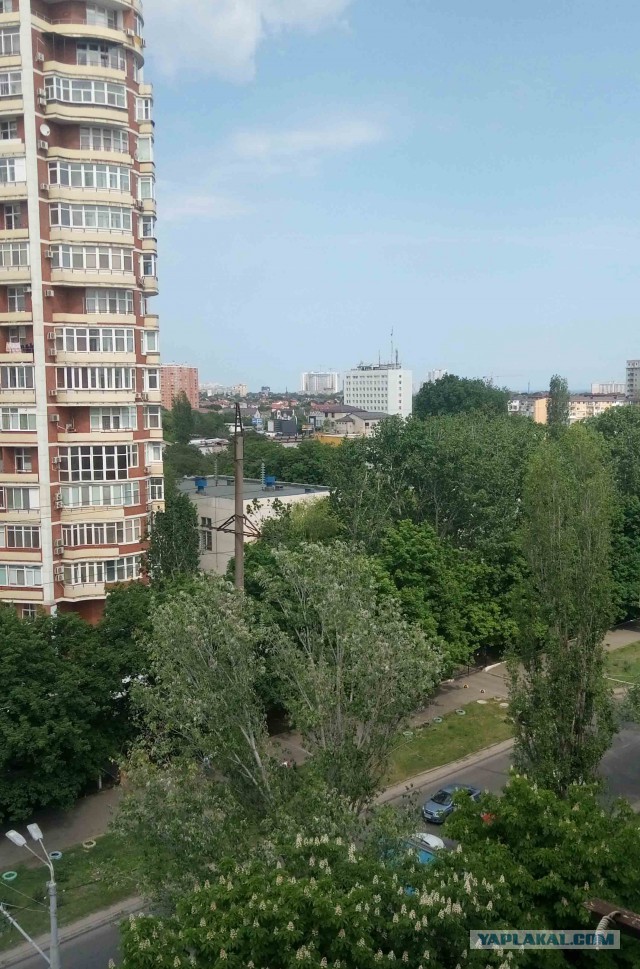 Лето, делимся видом из окна