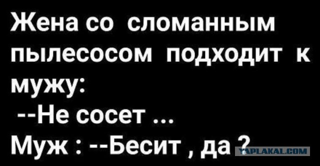 Жена сосет мужа фото