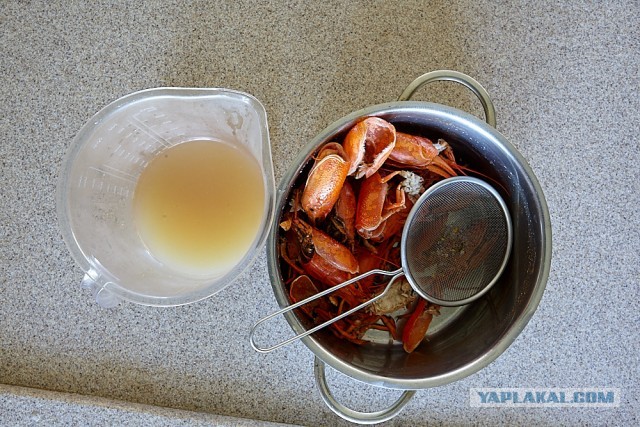 Биск из речных раков