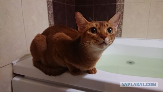 - Надо же понимать такие вещи! (с)Артур Юсупович, "Игла"