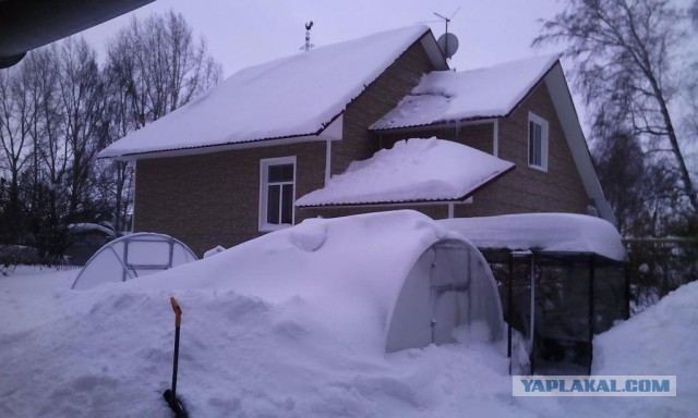 А может теплицами меряться будем?