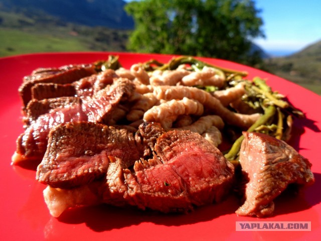 Лапша лугового флота свободного выгула