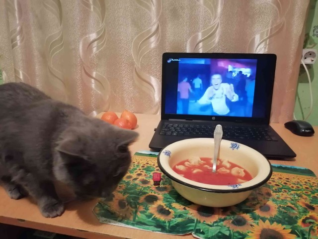 Как быстро надоедает жена