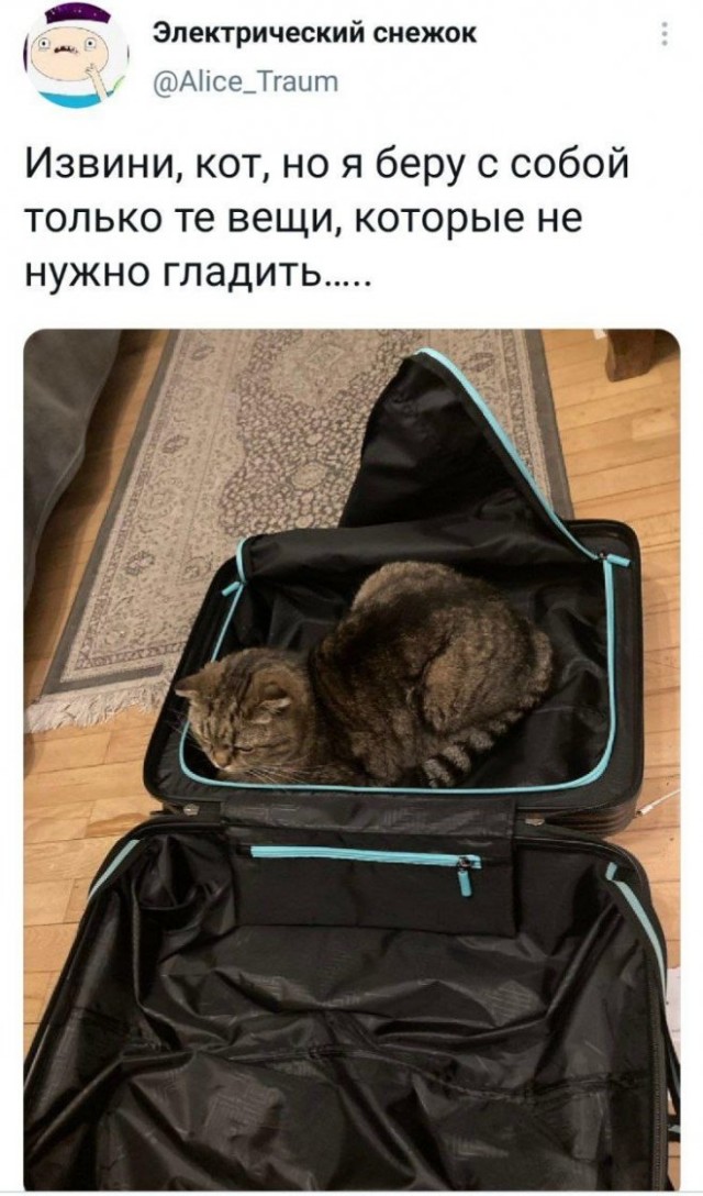 Доза юмора на выходные